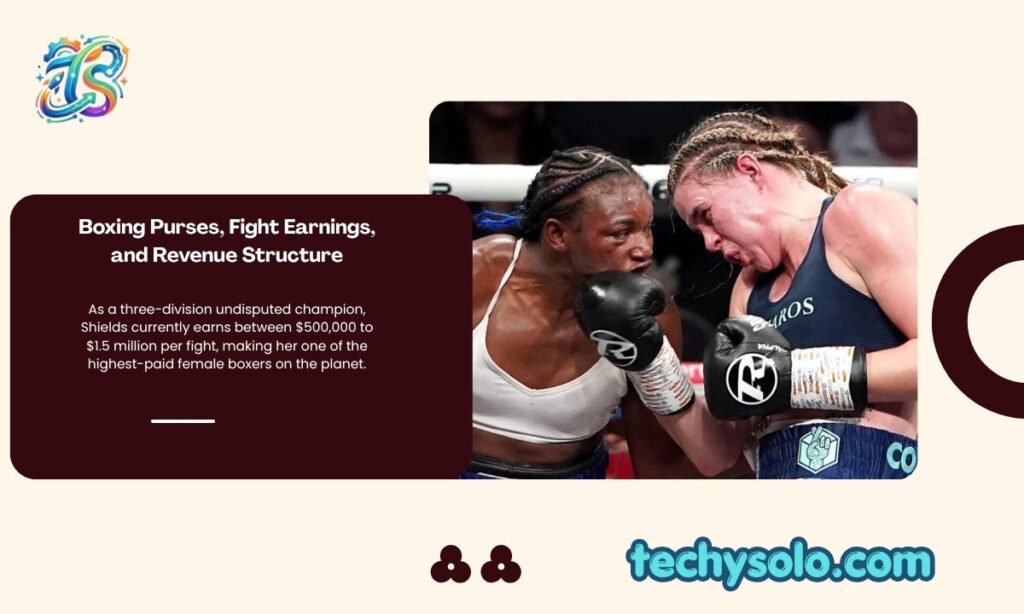 Boxing Purses, Fight Earnings, and Revenue Structure