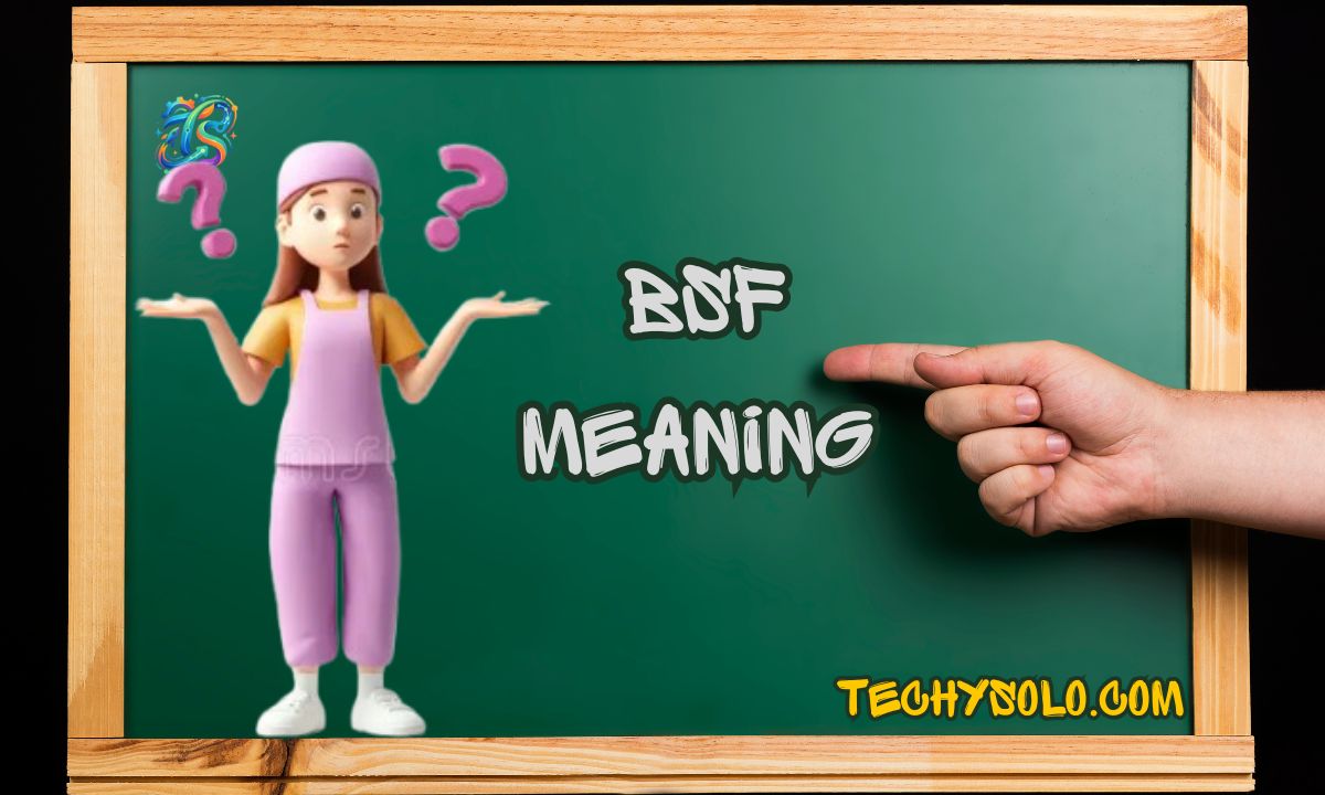 BSF Meaning in Text: Its Meaning, Origin, Usage & Examples Explained
